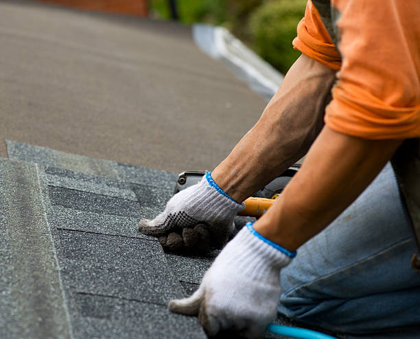 Best Roof Gutter Cleaning  in Castle Rock, WA