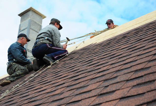 Professional Roofing Contractor in Castle Rock, WA